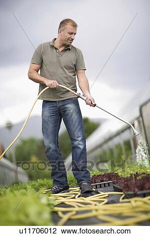 Farming vegetables and fruits View Large Photo Image Stock Image - Farming vegetables and fruits. Fotosearch
