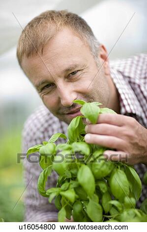 Farming vegetables and fruits View Large Photo Image Stock Image - Farming vegetables and fruits. Fotosearch