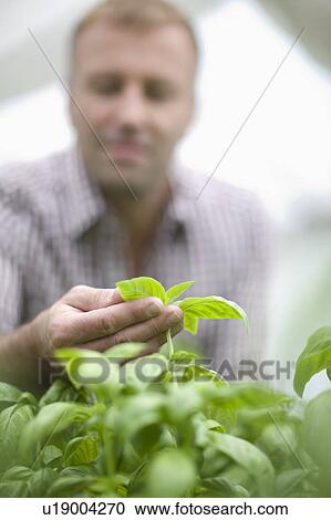 Farming vegetables and fruits View Large Photo Image Stock Image - Farming vegetables and fruits. Fotosearch