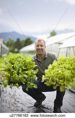 Farming vegetables and fruits View Large Photo Image Stock Image - Farming vegetables and fruits. Fotosearch