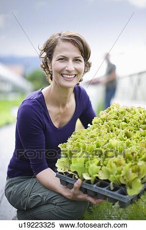Farming vegetables and fruits View Large Photo Image Stock Photography - Farming vegetables and fruits. Fotosearch