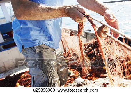 Fisherman pulling in nets View Large Photo Image Stock Image - Fisherman pulling in nets. Fotosearch