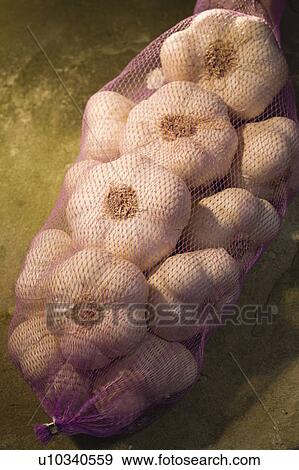 Stock Photo - Garlic. Fotosearch