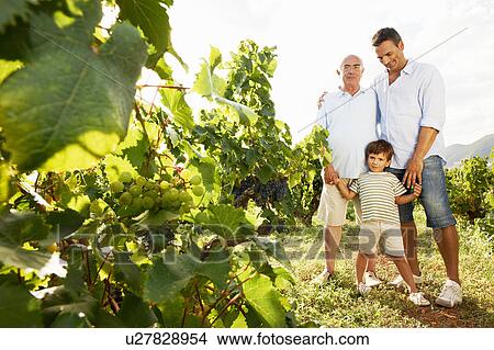 Picture - Generational family in vineyard. Fotosearch