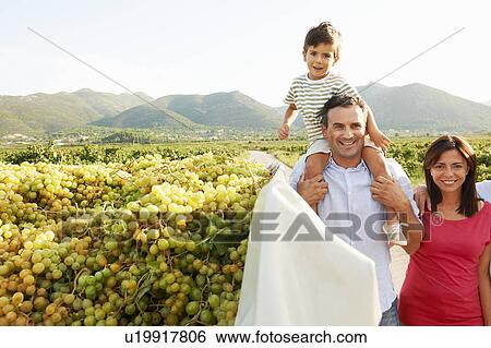Generational family walking in vineyard View Large Photo Image Stock Photograph - Generational family walking in vineyard. Fotosearch