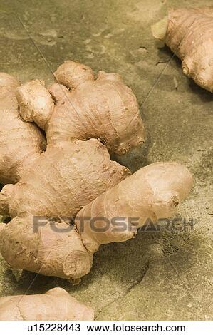 Ginger View Large Photo Image Stock Image - Ginger. Fotosearch