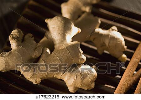 Ginger View Large Photo Image Stock Photograph - Ginger. Fotosearch