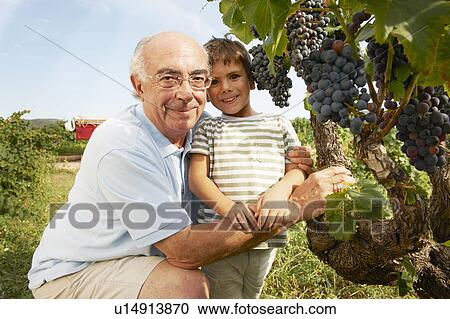 Grandfather and child looking at grapes View Large Photo Image Stock Image - Grandfather and child looking at grapes. Fotosearch