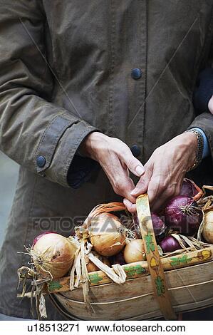 Grandmother holding basket of onions View Large Photo Image Stock Image - Grandmother holding basket of onions. Fotosearch