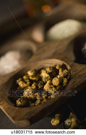 Stock Photography - Herbs. Fotosearch