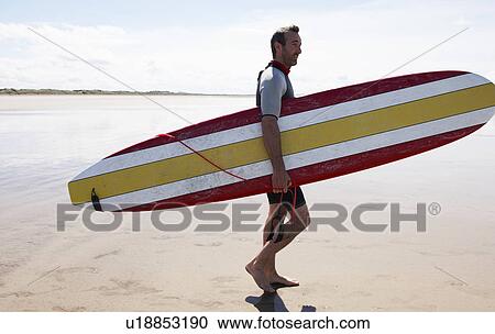 Male Surfer carrying board on beach View Large Photo Image Stock Image - Male Surfer carrying board on beach. Fotosearch