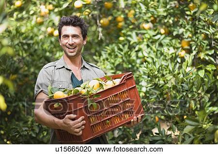 Stock Image - Man carrying a box with oranges. Fotosearch