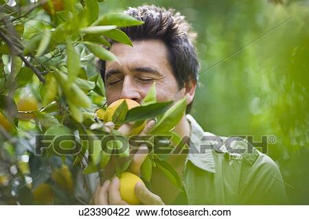 Stock Image - Man smelling at orange. Fotosearch