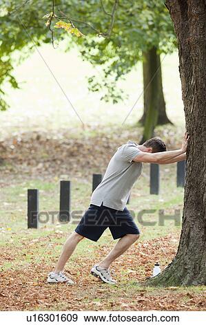 Stock Photo - Man stretching for a workout in the park. Fotosearch
