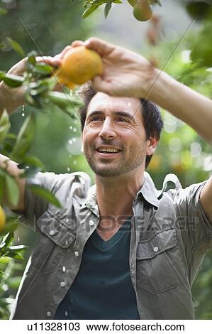 Stock Image - Man with orange. Fotosearch