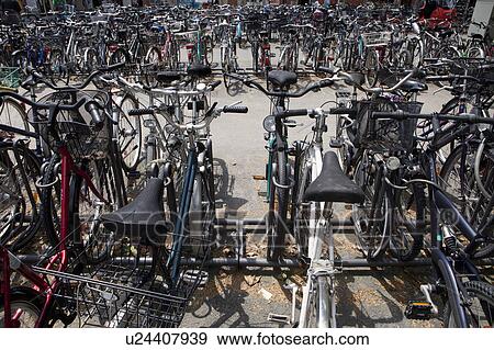 Many bicycles parked in a bicycle stand View Large Photo Image Stock Photo - Many bicycles parked in a bicycle stand. Fotosearch