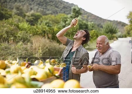 Men squashing oranges View Large Photo Image Stock Photography - Men squashing oranges. Fotosearch