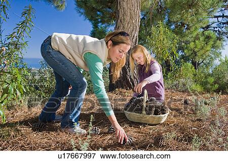Stock Photo - Mother and daughter collecting pinecones. Fotosearch