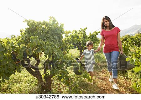 Stock Photography - Mother and son walking in vineyard. Fotosearch