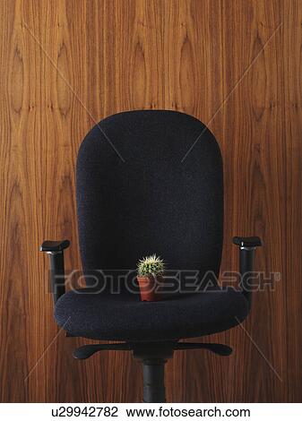 Stock Image - Office chair with cactus on it. Fotosearch