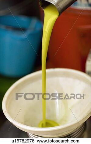 Stock Photograph - Olive oil production. Fotosearch
