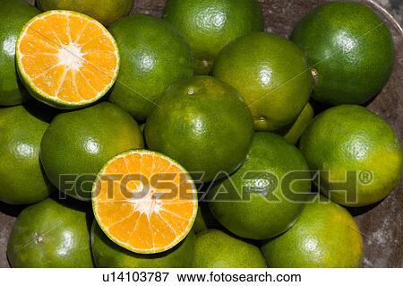 Stock Photo - Oranges in a cup, one is open. Fotosearch