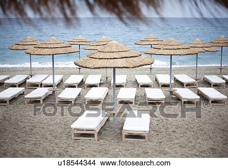 Picture - Parasols and loungers on beach. Fotosearch