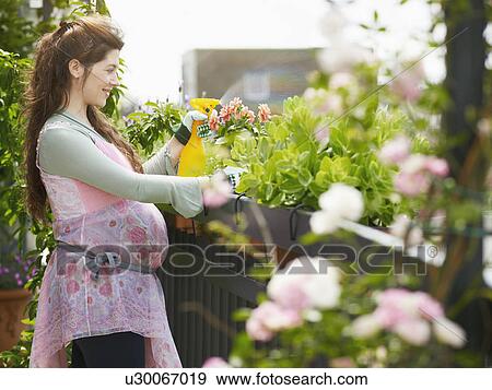 Pregnant woman View Large Photo Image Stock Photo - Pregnant woman. Fotosearch