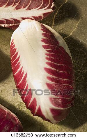 Radicchio View Large Photo Image Stock Image - Radicchio. Fotosearch
