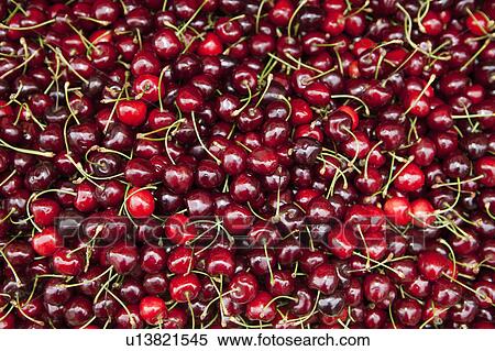 Red cherries View Large Photo Image Stock Photography - Red cherries. Fotosearch