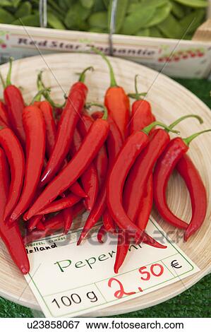 Red chilies on a market View Large Photo Image Stock Photo - Red chilies on a market. Fotosearch