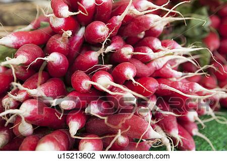 Stock Image - Red long radishes on a market. Fotosearch