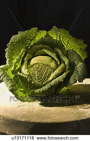 Savoy cabbage View Large Photo Image Stock Photo - Savoy cabbage. Fotosearch