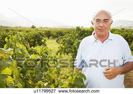 Stock Photo - Senior standing in vineyard. Fotosearch