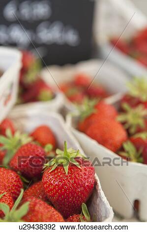Strawberries on a market View Large Photo Image Stock Image - Strawberries on a market. Fotosearch