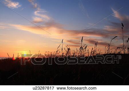 Sunset in Skane, Sweden View Large Photo Image Stock Photo - Sunset in Skane, Sweden. Fotosearch
