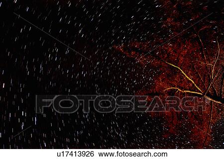 Stock Photograph - The sky at night. Fotosearch