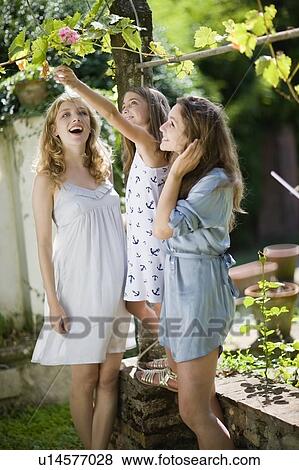 Three girls in the green garden View Large Photo Image Stock Photo - Three girls in the green garden. Fotosearch