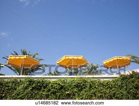 Three yellow parasols against blue sky View Large Photo Image Stock Image - Three yellow parasols against blue sky. Fotosearch