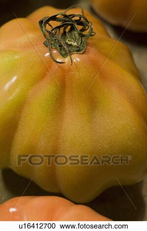 Stock Image - Tomatoes. Fotosearch