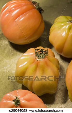 Stock Photo - Tomatoes. Fotosearch
