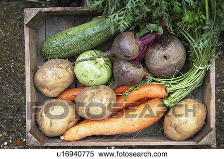 Stock Photography - Tray of fresh vegetables. Fotosearch