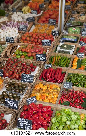 Various vegetables presented on a market View Large Photo Image Stock Photo - Various vegetables presented on a market. Fotosearch