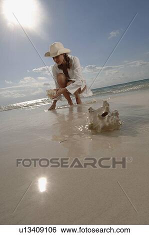 Woman collecting clams View Large Photo Image Stock Photograph - Woman collecting clams. Fotosearch