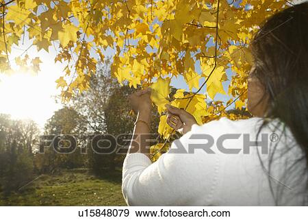 Stock Photo - Woman holding leaf up to sunlight. Fotosearch