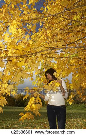 Stock Image - Woman in park in autumn. Fotosearch