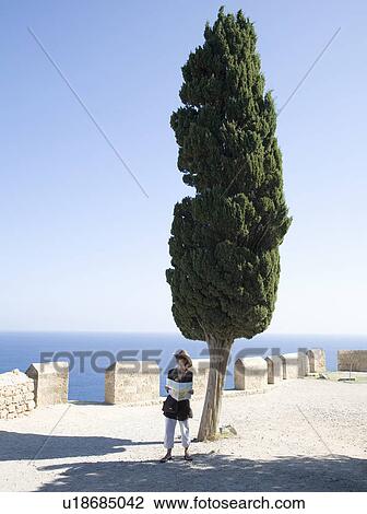 Woman looking at map by large tree View Large Photo Image Stock Image - Woman looking at map by large tree. Fotosearch