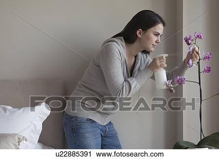 Stock Image - Woman spraying indoor plant. Fotosearch