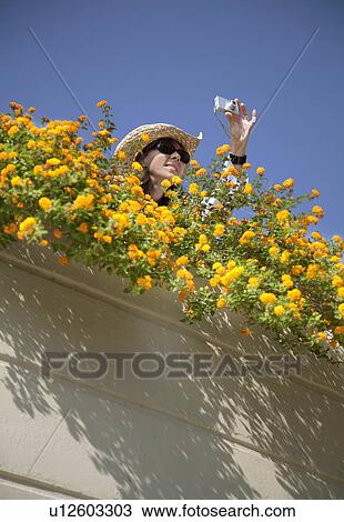Woman taking photograph by flowers View Large Photo Image Stock Image - Woman taking photograph by flowers. Fotosearch