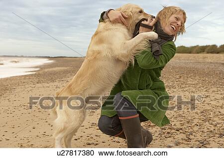 Woman training, playing with dog, beach View Large Photo Image Stock Image - Woman training, playing with dog, beach. Fotosearch